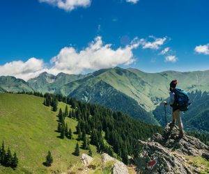 pexels-andreimike-1271619